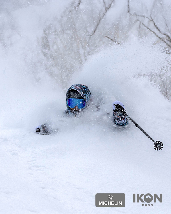 Niseko Ultimate Powder Tour